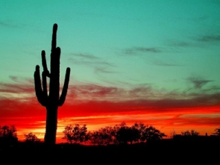 Hermosillo al atardecer